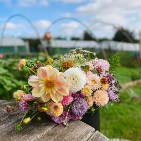 Bouquets (Collection Only)