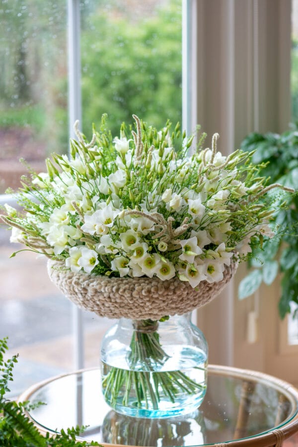 Lisianthus Grandiflorum - Botanic White