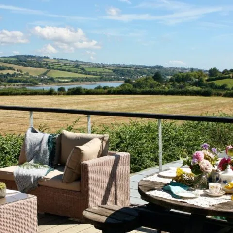 Pick Your Own With Tea and Treats for Two Voucher