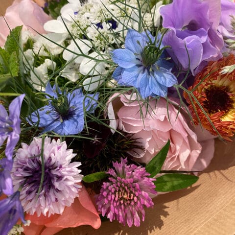 Cornflower Romantic Mix Blooms