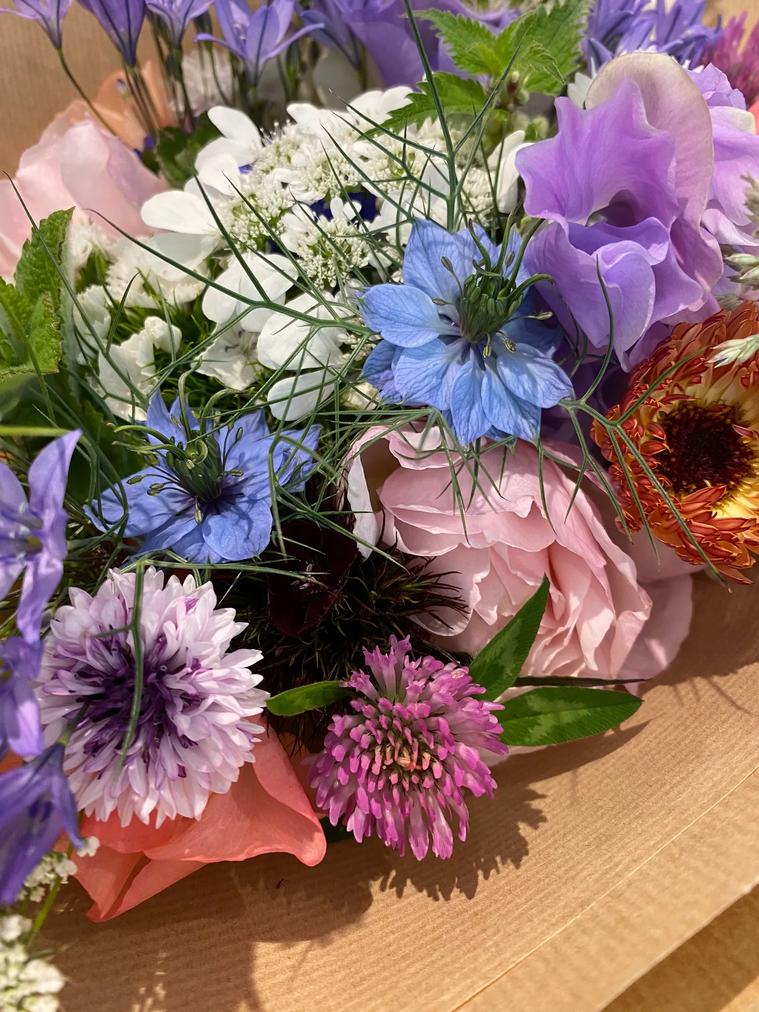 Cornflower Romantic Mix Blooms