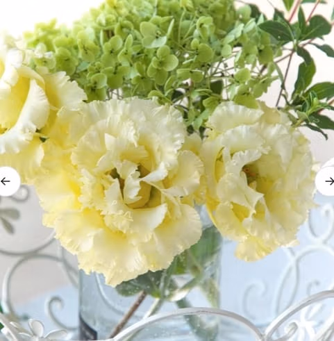 Lisianthus Corelli Yellow Flower