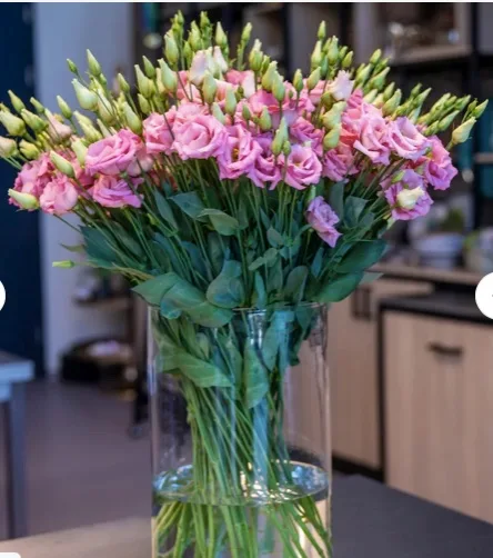 Lisianthus Corelli Peach - Image 3