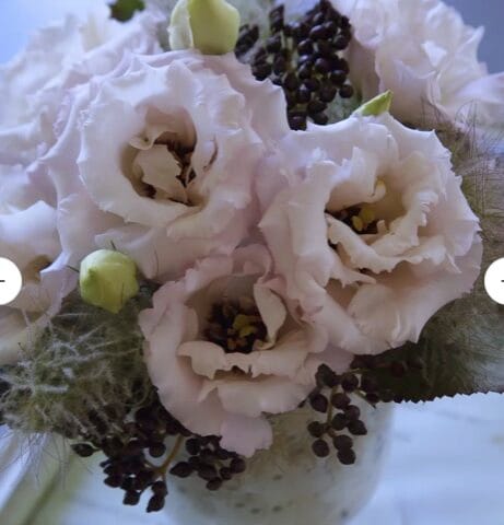 Lisianthus Corelli Light Pink