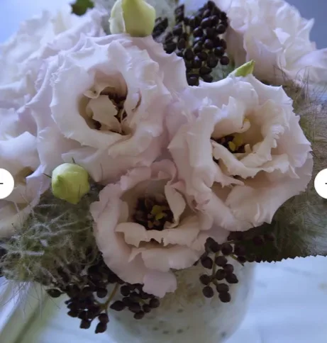 Lisianthus Corelli Light Pink