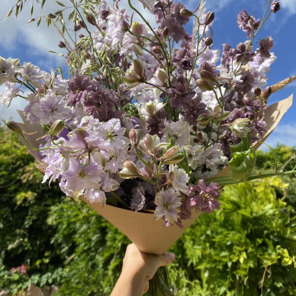 Larkspur Smokey Eyes