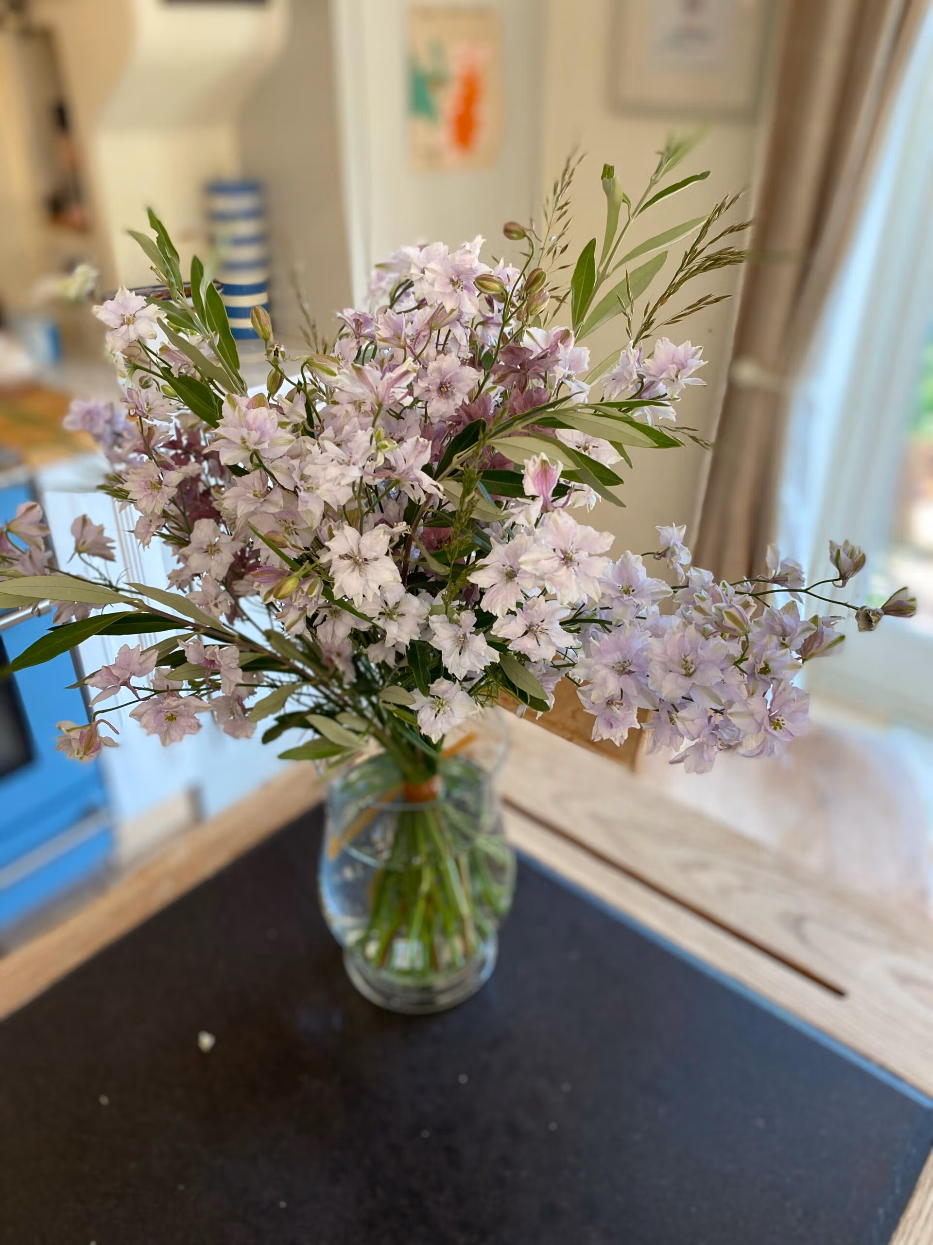 Larkspur Smokey Eyes - Image 3